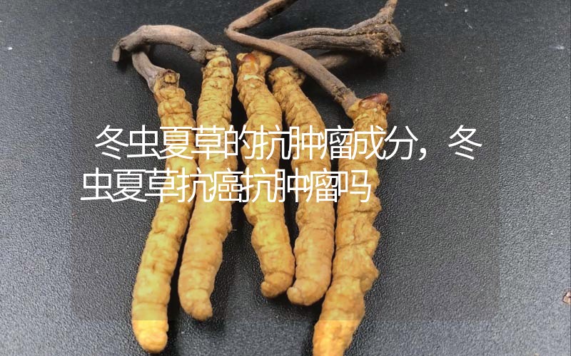 冬虫夏草的抗肿瘤成分，冬虫夏草抗癌抗肿瘤吗？