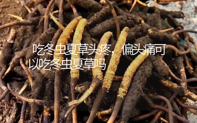 头疼可以吃冬虫夏草吗?偏头痛可以吃冬虫夏草吗?