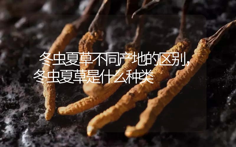 冬虫夏草不同产地的区别，冬虫夏草是什么种类
