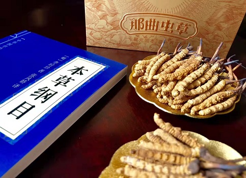 冬虫夏草真就那么好吗？它的主要功能是什么呀