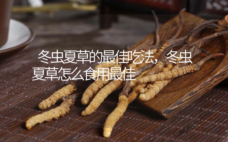 冬虫夏草的最佳吃法，冬虫夏草怎么食用最佳