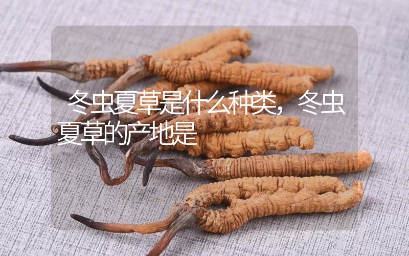 冬虫夏草是什么种类，冬虫夏草的产地是