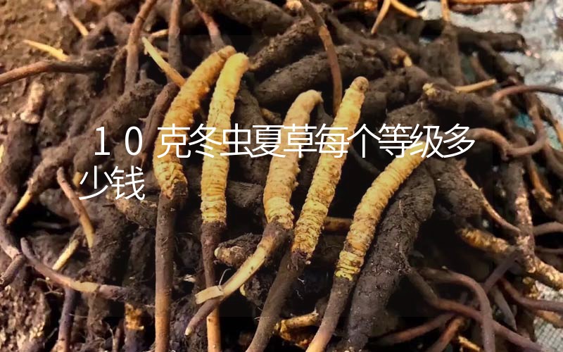 10克冬虫夏草每个等级多少钱？