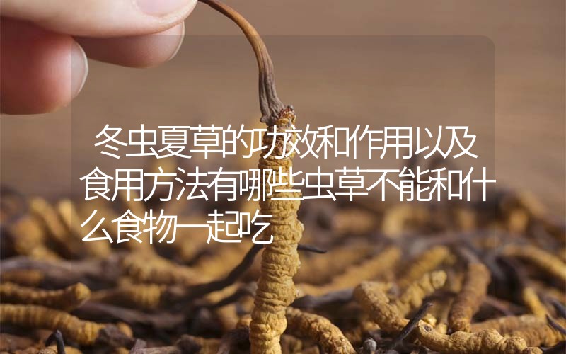 冬虫夏草的作用和作用以及食用方法有哪些？虫草不能和什么食物一起吃？