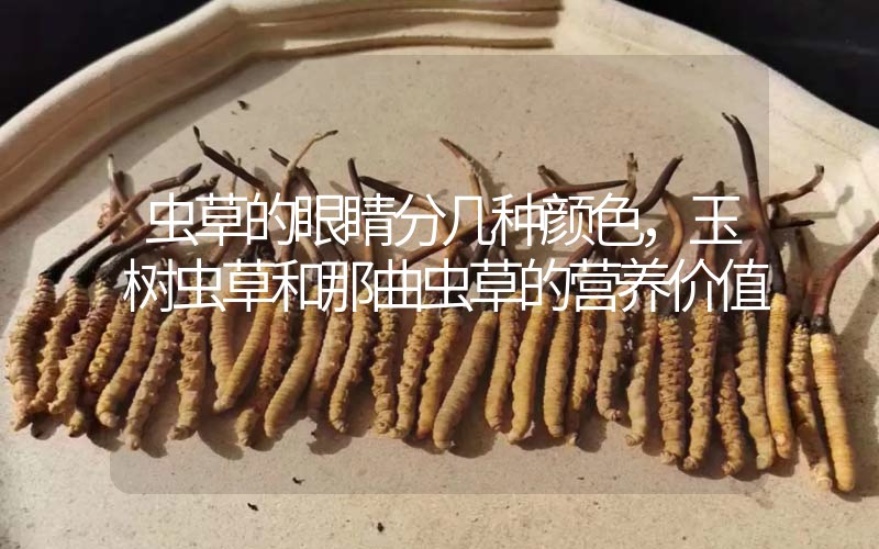 虫草的眼睛分几种颜色，玉树虫草和那曲虫草的营养价值