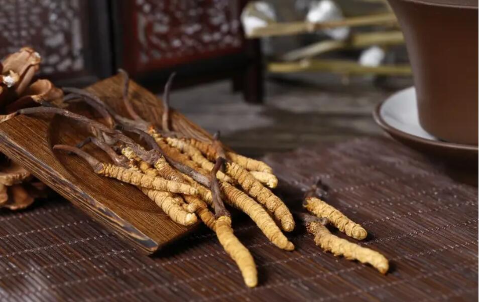 冬虫夏草怎么选择，冬虫夏草选怎么样的最好?
