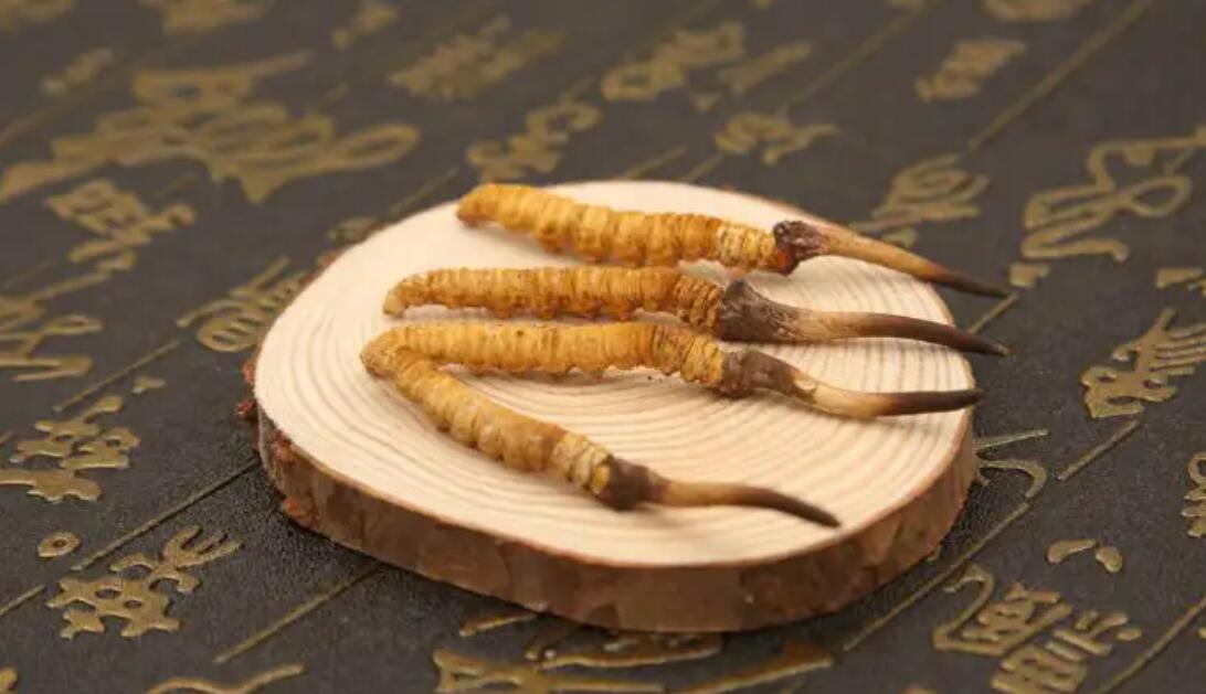 冬虫夏草如何吃好吸收？冬虫夏草怎样吃才有效，