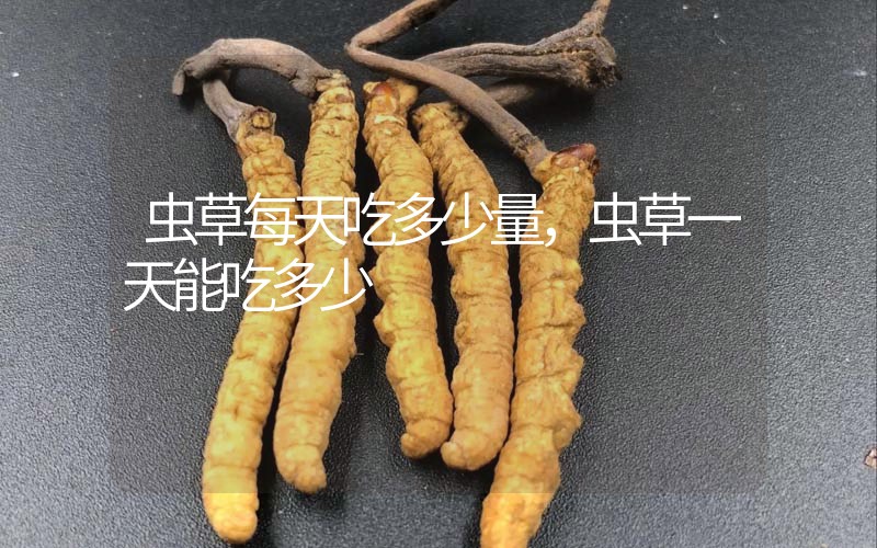 冬虫夏草食用方式，冬虫夏草的食用方法与效果