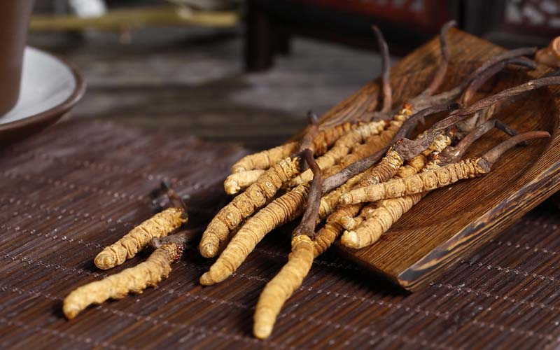 日皇牌冬虫夏草怎么吃?