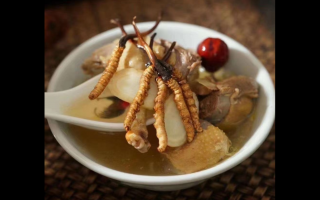 冬虫夏草贫血食谱
