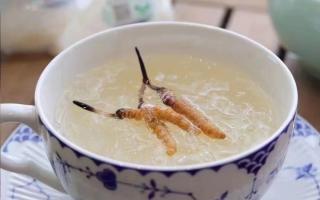 冬虫夏草对男性与女性的不同表现