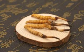六七月如何存放冬虫夏草？