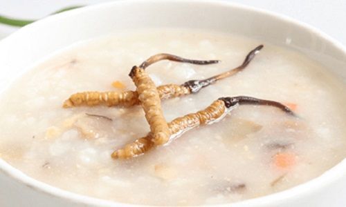 冬虫夏草搭配什么泡水喝好