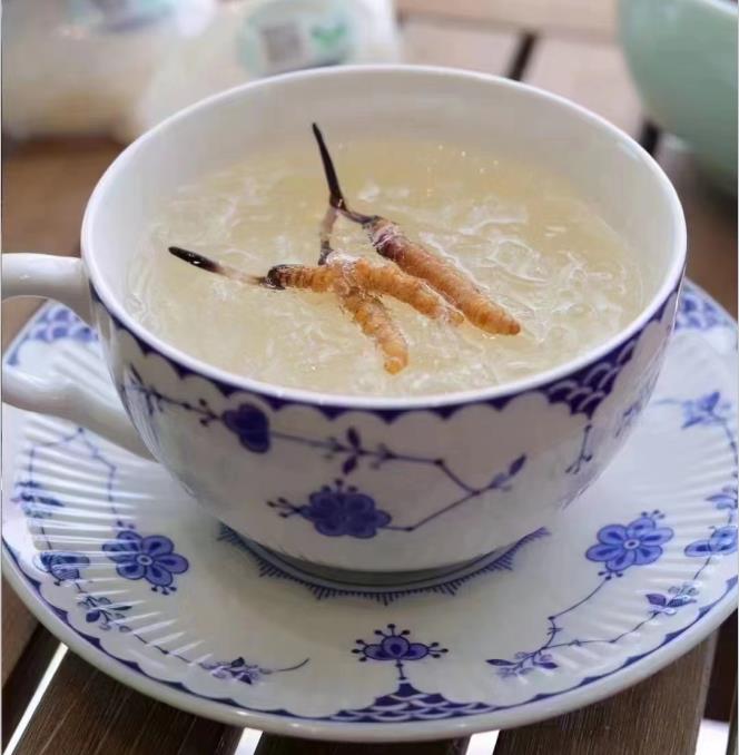 养生小窍门：冬虫夏草炖什么好喝？
