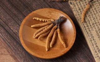一看就知道，这才是真正的新鲜冬虫夏草！