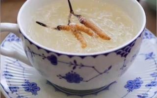 端午节应该怎么吃冬虫夏草？