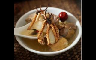 冬虫夏草的传统煮汤食用方法！