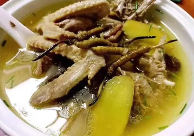 冬虫夏草和哪些食材可以一起煲汤?