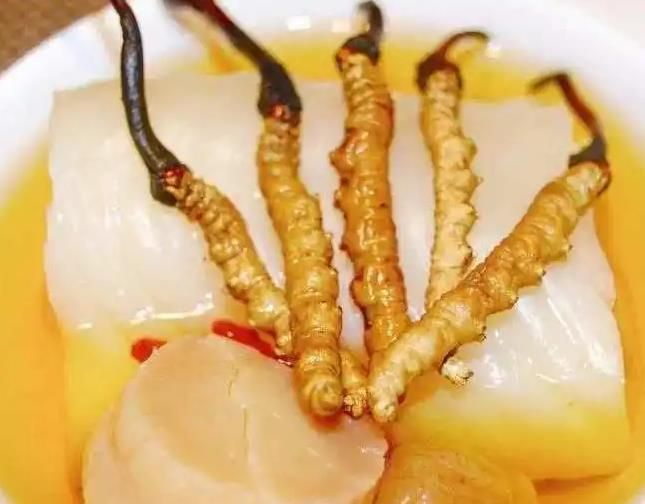鲜冬虫夏草5种常见吃法详解