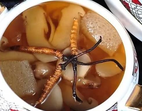 鲜冬虫夏草5种常见吃法详解