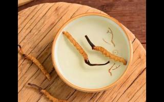鲜冬虫夏草5种常见吃法详解