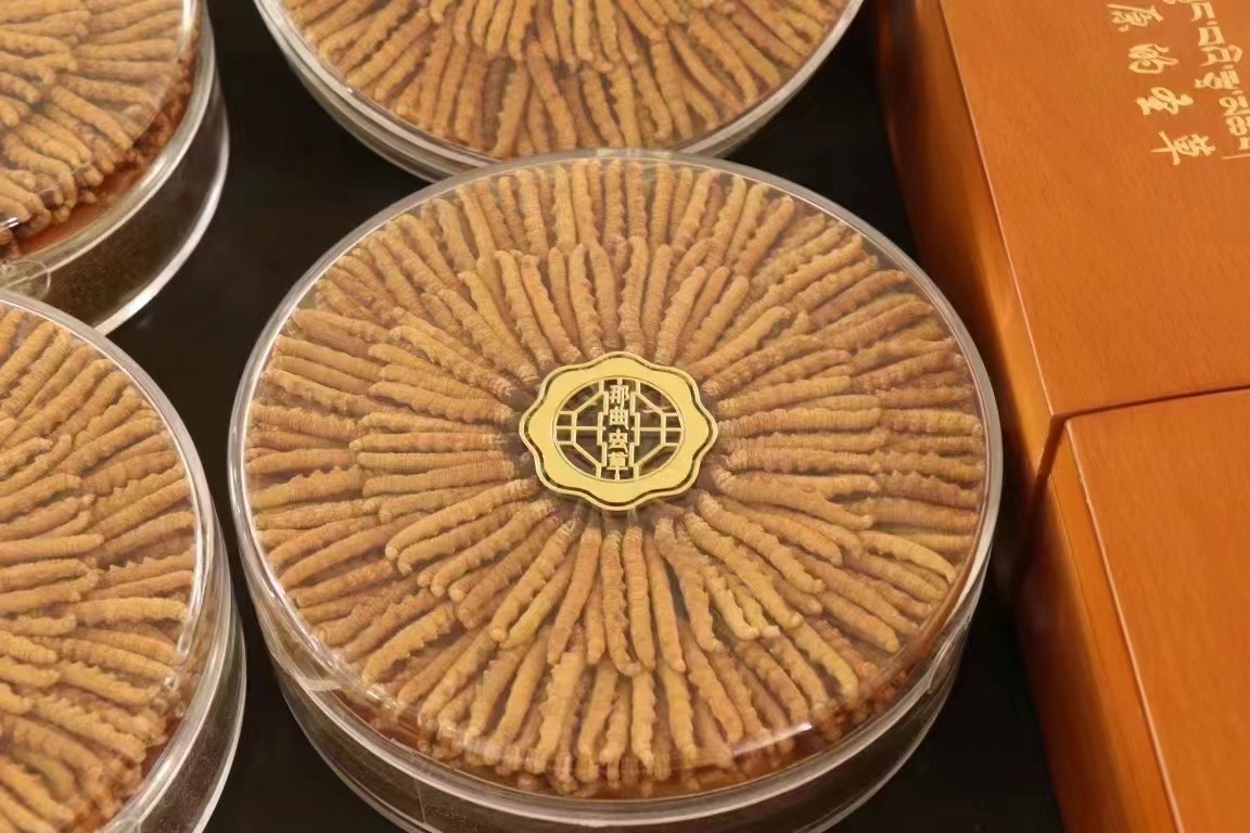 怀孕后怎么吃冬虫夏草