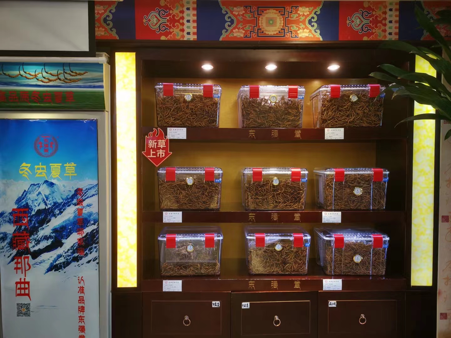 冬虫夏草目前有哪些品牌