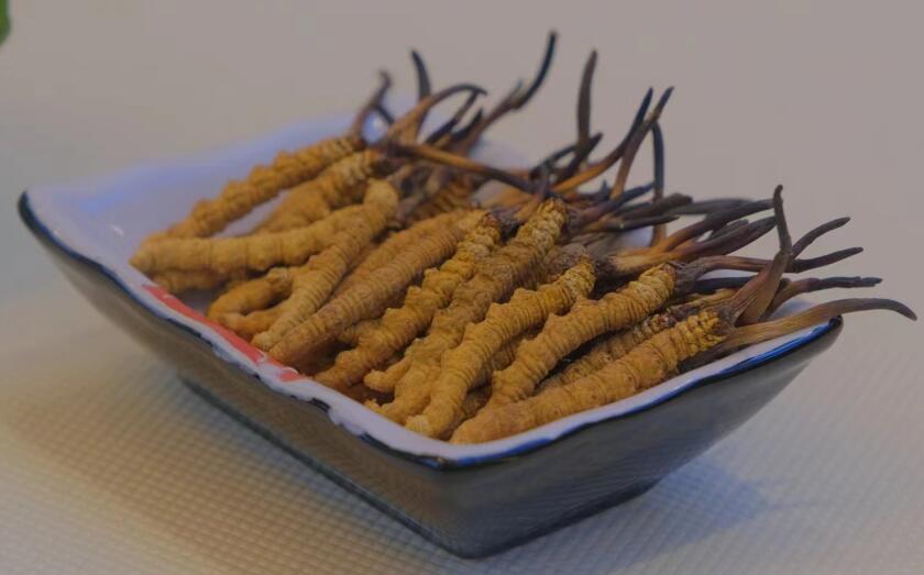 冬虫夏草片剂有哪几类？