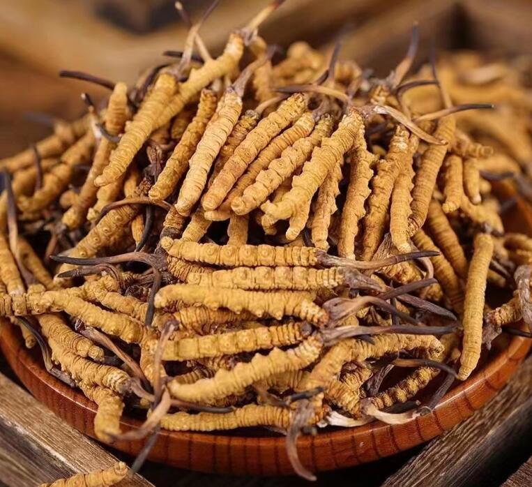 冬虫夏草泡茶是用干草还是鲜草好？附虫草泡茶的步骤