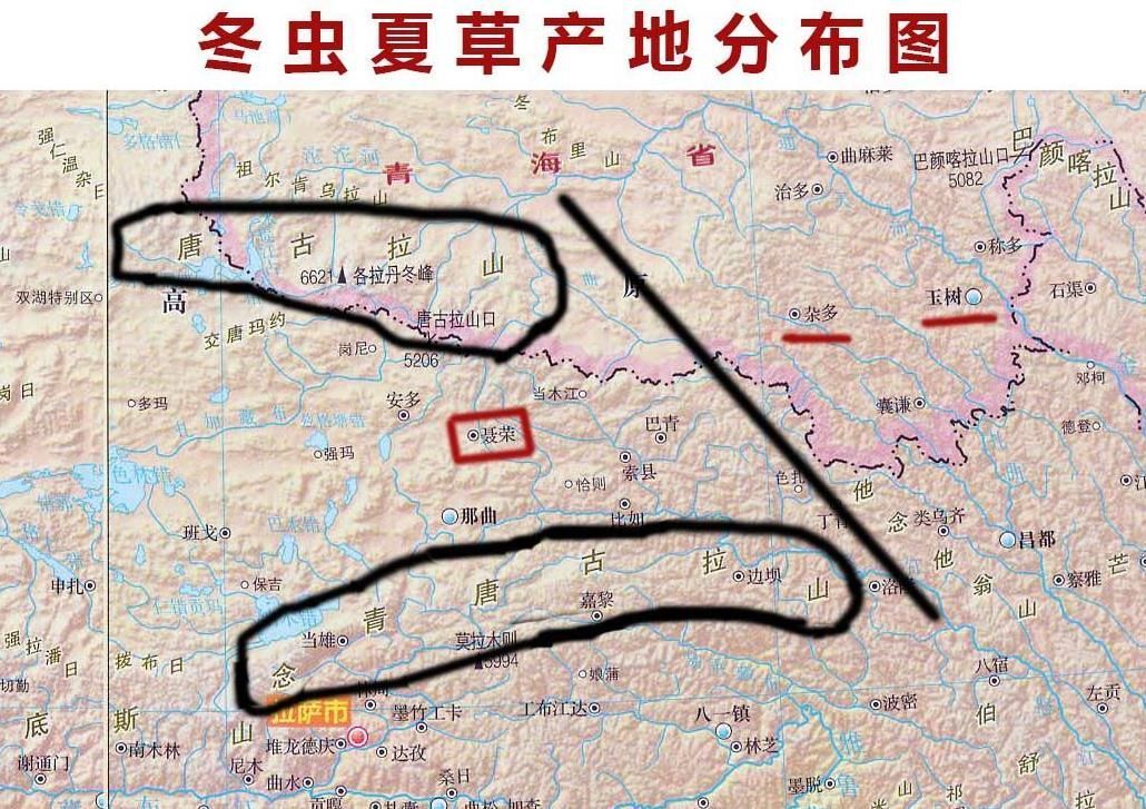 冬虫夏草20大产区