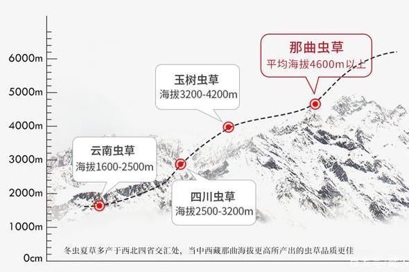 冬虫夏草20大产区