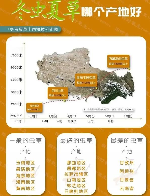 冬虫夏草20大产区