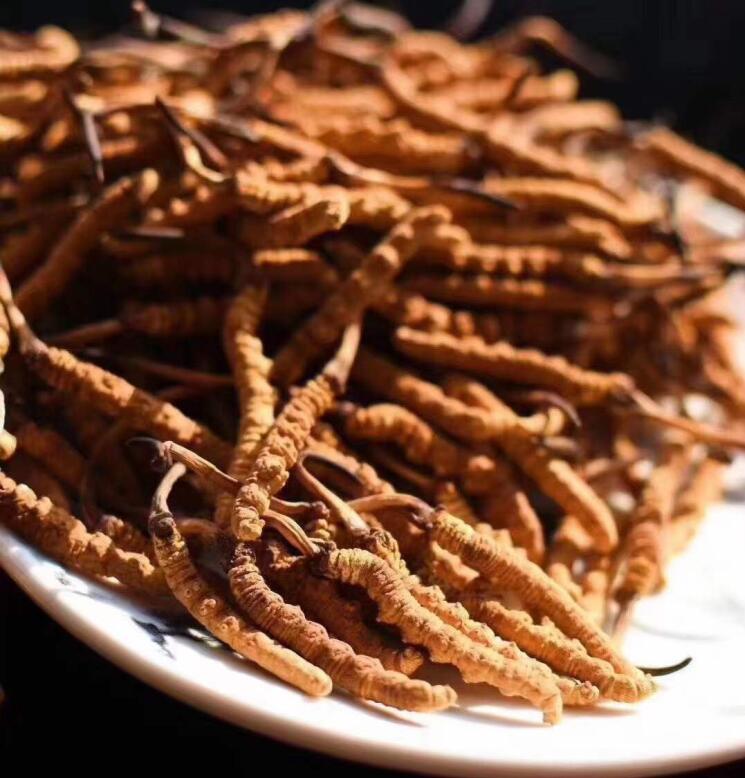 虫草一次煮几根最好？