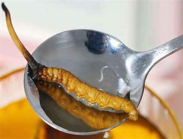 冬虫夏草和鸡腿搭配的做法