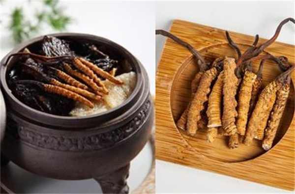 冬虫夏草和肚脐蜗牛搭配怎么吃？