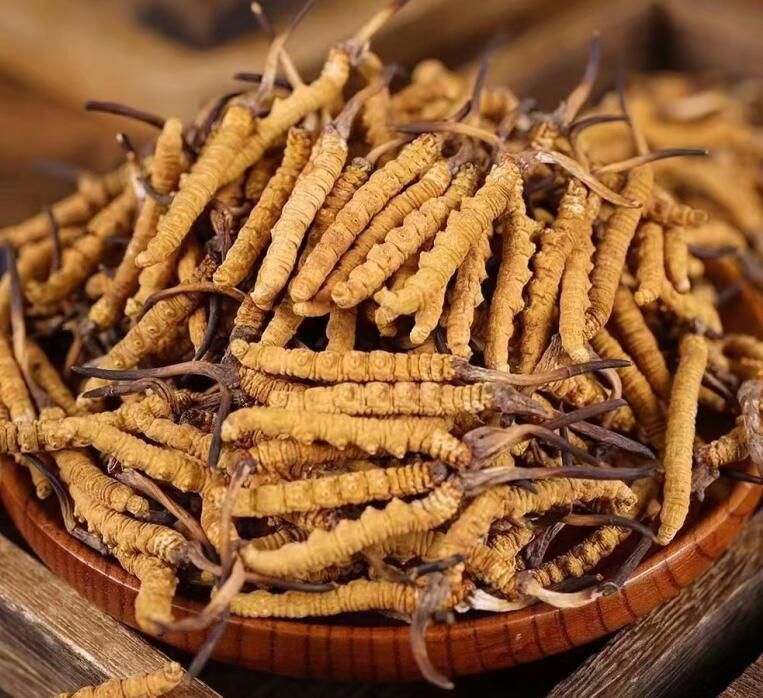 冬虫夏草可以和维生素B15一起吃吗？