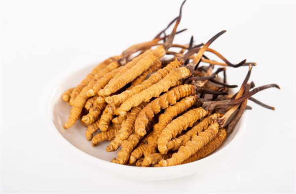 冬虫夏草可以和松子一起吃吗？