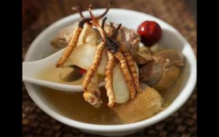 冬虫夏草排骨冬瓜汤