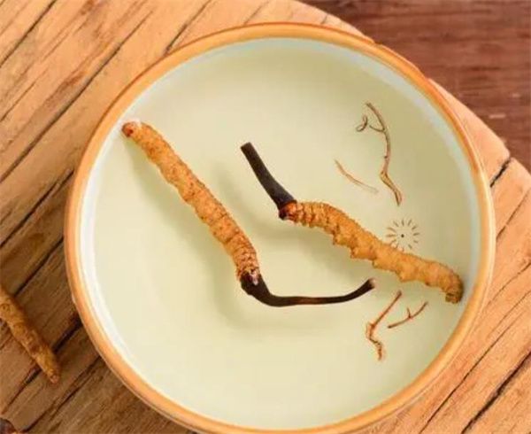 肺结核能吃冬虫夏草吗？冬虫夏草可以作为日常调理肺结核的补充