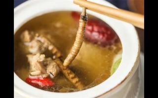 冬虫夏草和决明子搭配一起的吃法