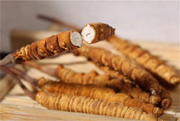 冬虫夏草怎么食用？冬虫夏草的食用指南