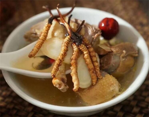 冬虫夏草和什么不能一起吃？冬虫夏草不能与这5类一起食用