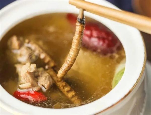 冬虫夏草吃法大全：探索营养与美味的完美搭配
