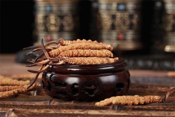 冬虫夏草正确的保存方法是什么?常用的6个冬虫夏草保存方法