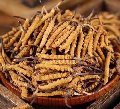 冬虫夏草的副作用有哪些 冬虫夏草可能的5个副作用