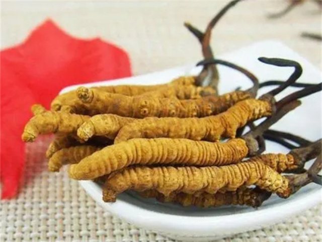 产后冬虫夏草怎么吃？产后冬虫夏草的3种食用方法