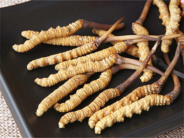 真的冬虫夏草什么价格？影响冬虫夏草价格波动的3个关键因素