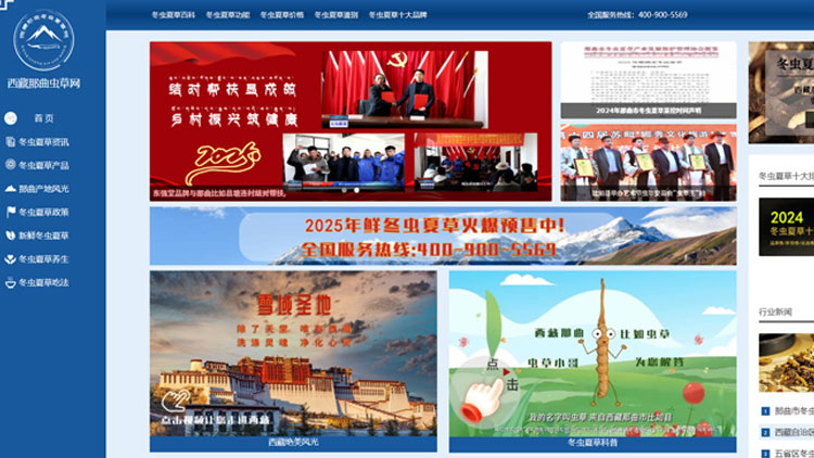 西藏那曲虫草网对用户有哪些帮助和服务呢