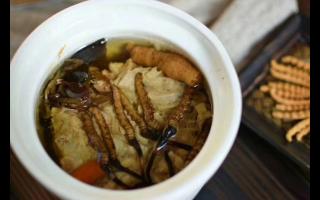 冬虫夏草怎么食用？解锁滋补养生的正确打开方式