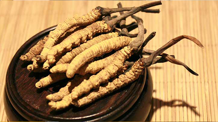 火眼金睛:教你辨别冬虫夏草真假